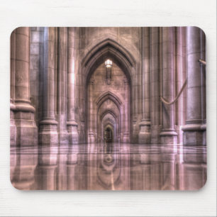 Washington National Cathedral bezinning Muismat