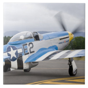 Washington, Olympia, militaire luchtshow. Tegeltje