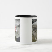 Washington, Olympia, militaire vliegshow. 2 Mok (Midden)