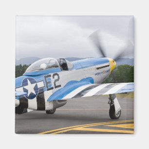 Washington, Olympia, militaire vliegshow. Magneet