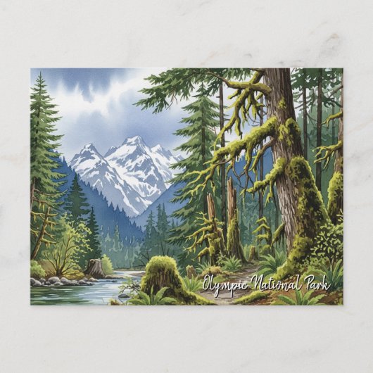 Washington Olympic National Park in het regenwoud Briefkaart (Voorkant)
