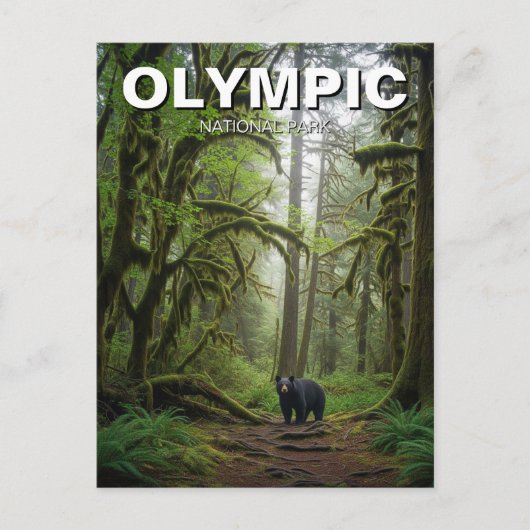 Washington Olympic National Park in het regenwoud Briefkaart (Voorkant)