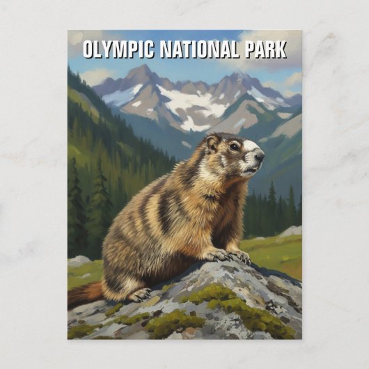 Washington Olympic National Park reizen Briefkaart (Voorkant)