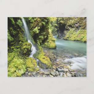 Washington, Olympic National Park, Seizoensgebonde Briefkaart