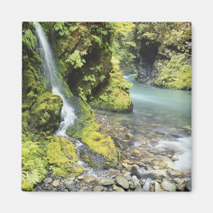 Washington, Olympic National Park, Seizoensgebonde Magneet