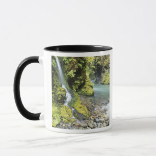 Washington, Olympic National Park, Seizoensgebonde Mok
