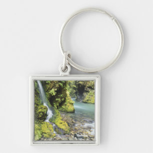 Washington, Olympic National Park, Seizoensgebonde Sleutelhanger