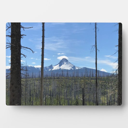 Washington opzetten, OF Fotoplaat (voorkant)