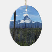 Washington opzetten, OF Keramisch Ornament (Rechts)