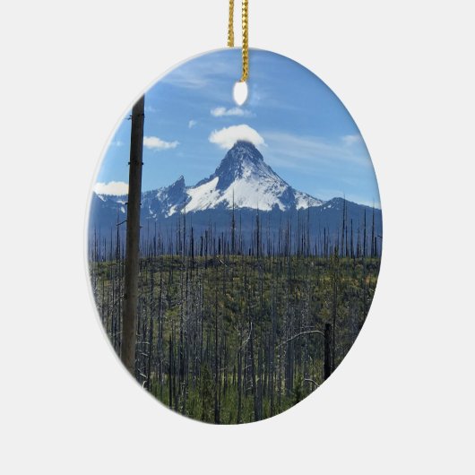 Washington opzetten, OF Keramisch Ornament (Rechts)