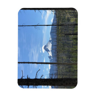 Washington opzetten, OF Magneet