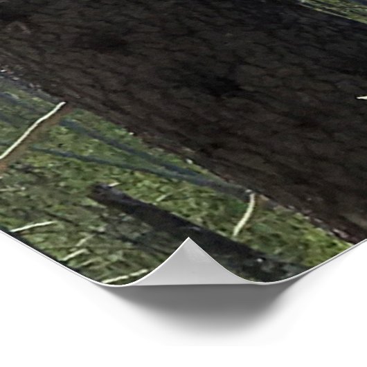 Washington opzetten, OF Poster (Hoek)