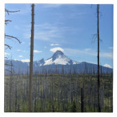 Washington opzetten, OF Tegeltje (Voorkant)