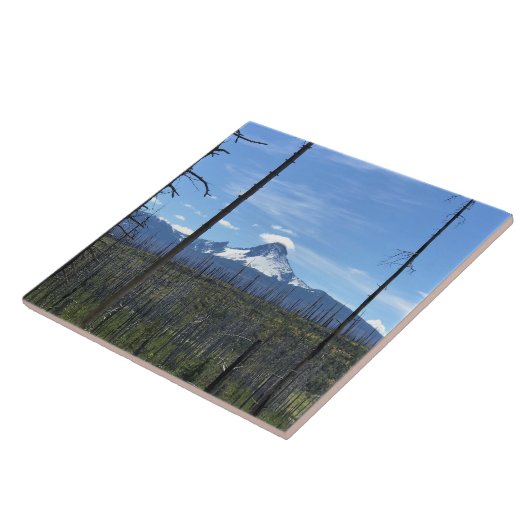 Washington opzetten, OF Tegeltje (Zijkant)