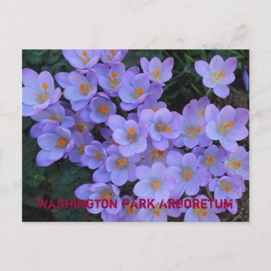 Washington Park Arboretum Aankondigingskaart (Voorkant)