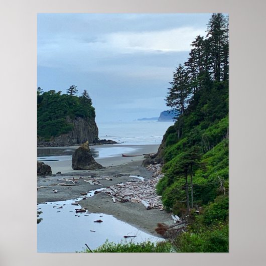 Washington Rocky Ruby Beach Poster (Voorkant)