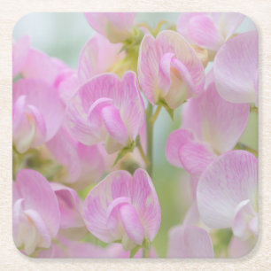 Washington, Seabeck. Detail van lathyrus Kartonnen Onderzetters