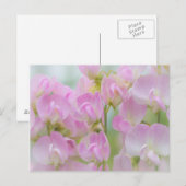 Washington, Seabeck. Detail van zoete erwten Briefkaart (Voorkant / Achterkant)