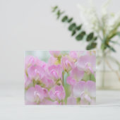 Washington, Seabeck. Detail van zoete erwten Briefkaart (Staand voorkant)