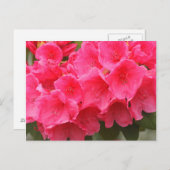 Washington, Seattle, Puget Sound, Discovery Park Briefkaart (Voorkant / Achterkant)