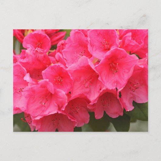 Washington, Seattle, Puget Sound, Discovery Park Briefkaart (Voorkant)