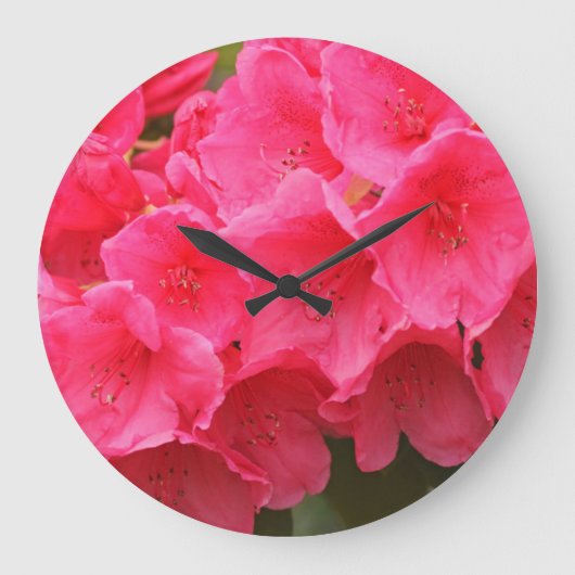 Washington, Seattle, Puget Sound, Discovery Park Grote Klok (Voorkant)