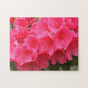 Washington, Seattle, Puget Sound, Discovery Park Legpuzzel