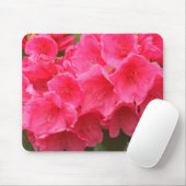 Washington, Seattle, Puget Sound, Discovery Park Muismat (Met muis)