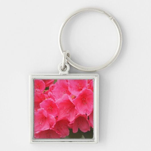 Washington, Seattle, Puget Sound, Discovery Park Sleutelhanger (Voorkant)