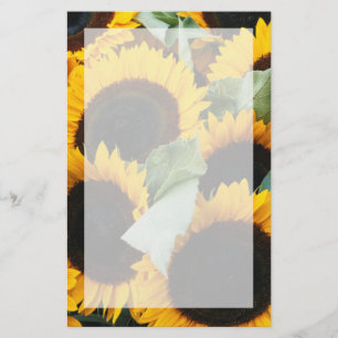 Washington, Seattle, Sunflower for sale pike Briefpapier