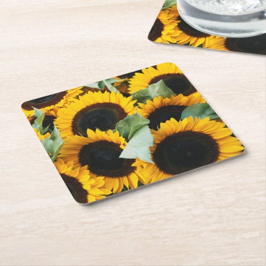 Washington, Seattle, Sunflower for sale pike Kartonnen Onderzetters (Schuin)