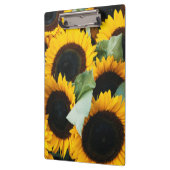 Washington, Seattle, Sunflower for sale pike Klembord (Links)