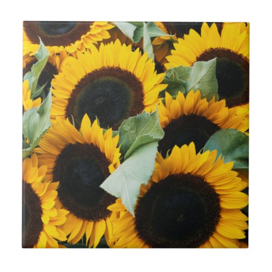 Washington, Seattle, Sunflower for sale pike Tegeltje (Voorkant)