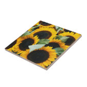 Washington, Seattle, Sunflower for sale pike Tegeltje (Zijkant)