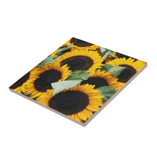 Washington, Seattle, Sunflower for sale pike Tegeltje (Zijkant)