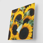 Washington, Seattle, Sunflower for sale pike Vierkante Klok (Hoek)