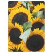Washington, Seattle, Zonnebloem te koop pike Klembord (Achterkant)