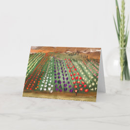Washington Skagit Valley TulipFolded Wenskaart Kaart