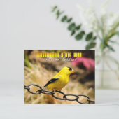 Washington State Bird - American Goldfinch Briefkaart (Staand voorkant)