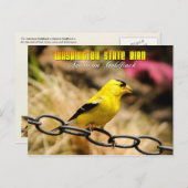 Washington State Bird - American Goldfinch Briefkaart (Voorkant / Achterkant)