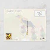 Washington State Bird - American Goldfinch Briefkaart (Achterkant)