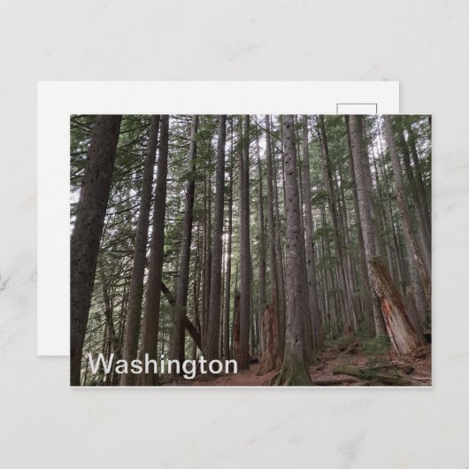 Washington State Briefkaart (Voorkant / Achterkant)