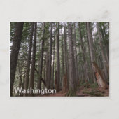 Washington State Briefkaart (Voorkant)