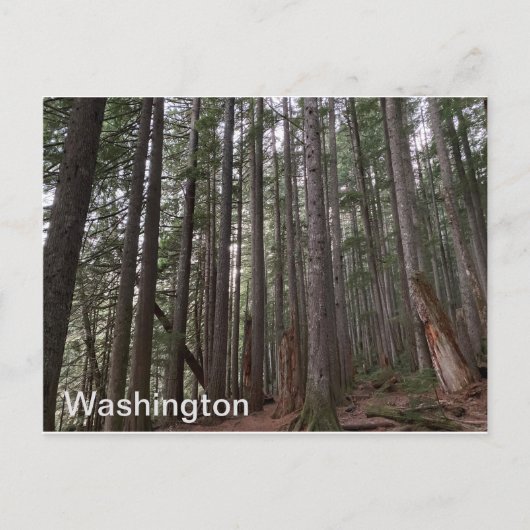 Washington State Briefkaart (Voorkant)
