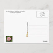 Washington State Flower: Coast Rhododendron Briefkaart (Achterkant)