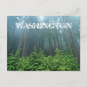 Washington State Post Card Briefkaart