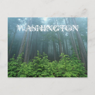 Washington State Post Card Briefkaart