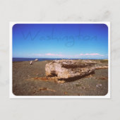 Washington State Seashore: Photo Briefkaart (Voorkant)