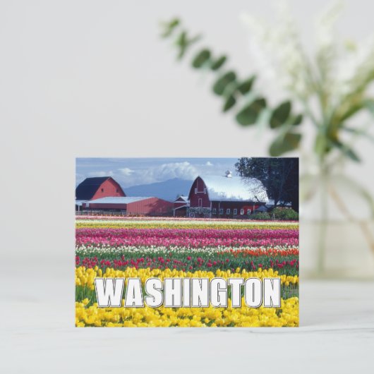 Washington State | Tulpenveld | Gefeliciteerd Briefkaart (Staand voorkant)
