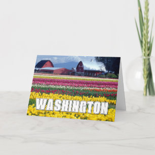 Washington State   Tulpenveld   Gefeliciteerd Kaart